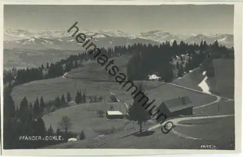 Pfänderdohle - Foto-Ansichtskarte - Photo Fritz jr. Bregenz 20er Jahre