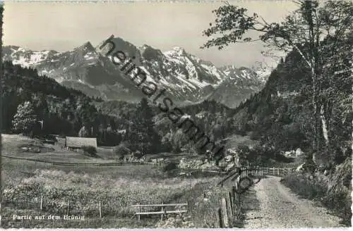 Partie auf dem Brünig - Foto-Ansichtskarte - Verlag M. Urfer Bazar Brünig