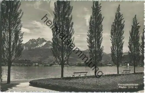 Vierwaldstättersee - Pilatus - Foto-Ansichtskarte - Verlag Photoglob-Wehrli & Vouga & Co. Zürich