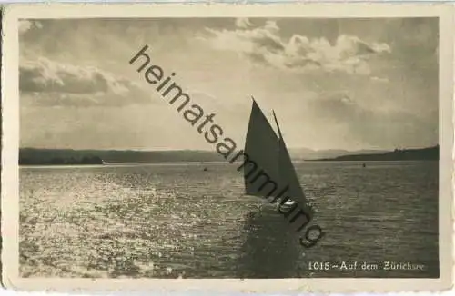 Auf dem Zürichsee - Foto-Ansichtskarte