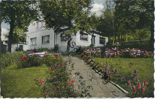 Bad Oeynhausen - Pension Haus Bergfrieden - Inhaber Hans Springer und Frau - Verlag Hans Wagner Vlatho