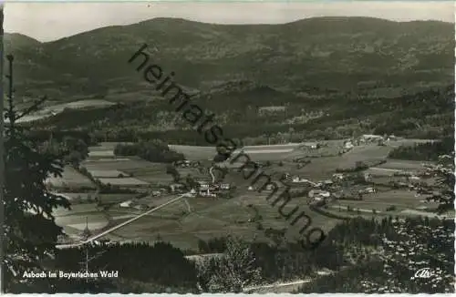 Asbach im Bayrischen Wald - Foto-Ansichtskarte - Verlag Foto-Kohlbauer Pfronten