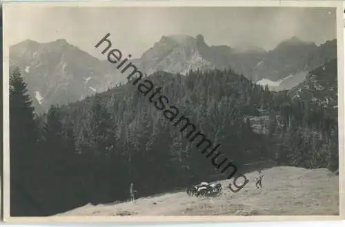 Gamsangerl - Foto-Ansichtskarte - Verlag Leo Stainer Innsbruck Richard Müller 1917