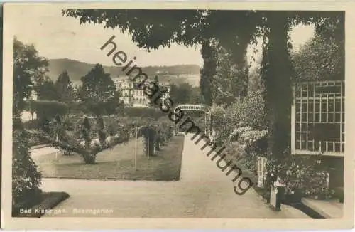 Bad Kissingen - Rosengarten - Foto-Ansichtskarte - Cramers Kunstanstalt Dortmund