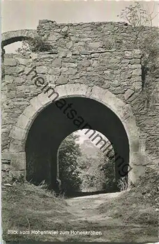 Blick vom Hohentwiel zum Hohenkrähen - Foto-Ansichtskarte - Verlag Karl Alber Freiburg