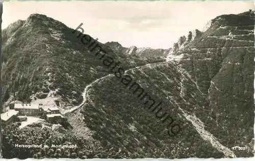 Herzogstand - Martinskopf - Foto-Ansichtskarte - ohne AK-Einteilung