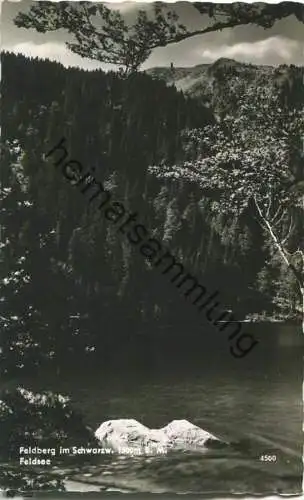 Feldberg - Feldsee - Foto-Ansichtskarte - ohne AK-Einteilung