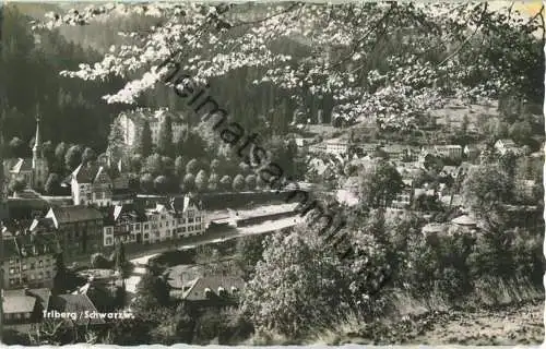 Triberg - Teilansicht - Foto-Ansichtskarte - ohne AK-Einteilung