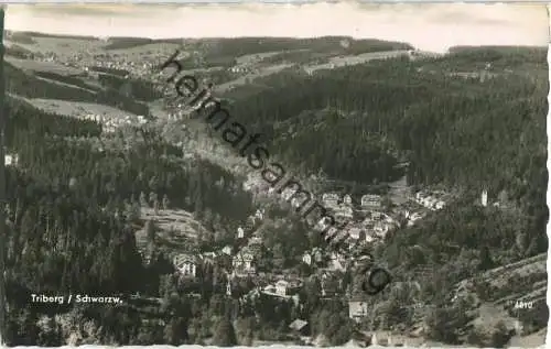 Triberg - Gesamtansicht - Foto-Ansichtskarte - ohne AK-Einteilung