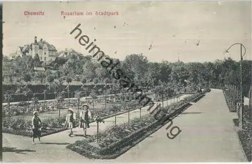 Chemnitz - Rosarium im Stadtpark - Verlag Winkler & Voigt Leipzig