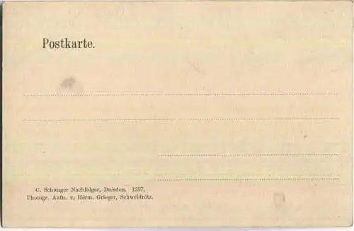 Swidnica - Schweidnitz - Ring mit Hochstrasse - Verlag C. Schwager Nachfolger Dresden ca. 1900