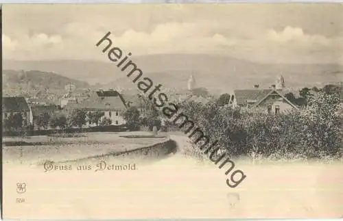 Detmold - Teilansicht - Verlag R. Lederbogen Halberstadt 558 - ca. 1895