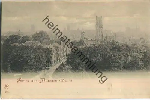 Münster - Verlag R. Lederbogen Halberstadt 491 - ca. 1895