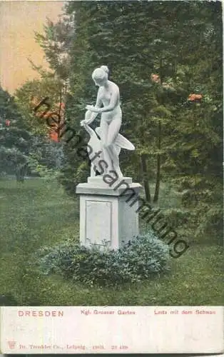 Dresden - Grosser Garten - Leda mit dem Schwan - Verlag Dr. Trenkler & Co Leipzig 1903