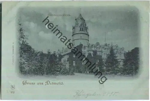 Detmold - Residenzschloss - Verlag R. Lederbogen Halberstadt 552 - ca. 1895
