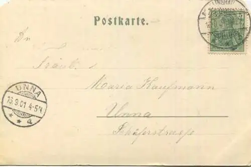 Recklinghausen - Städtische Anlagen - Verlag Bertram Wegerhoff Recklinghausen gel. 1901