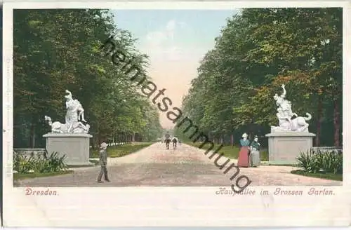 Dresden - Grosser Garten - Hauptallee - Verlag Hermann Poy Dresden