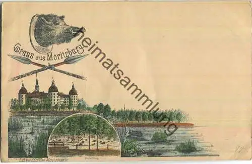 Moritzburg - Jagdschloss - Wildfütterung - Verlag P. Schulze Moritzburg