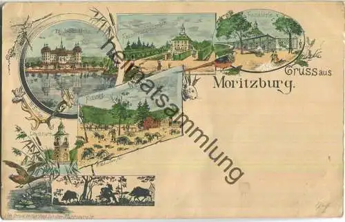 Moritzburg - Jagdschloss - Fasanenschlösschen - Fasanerie - Leuchtturm - Verlag Paul Schulze Moritzburg