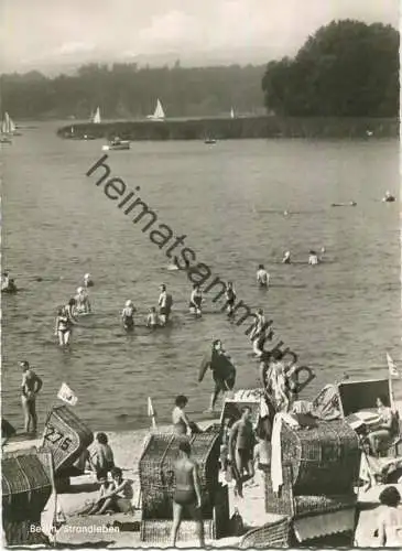 Berlin - Wannsee - Strandleben - Foto-AK Grossformat - Verlag Kunst und Bild Berlin