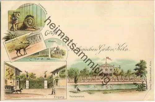 Köln - Zoologischer Garten - Verlag F. Szesztokat Köln ca. 1895 - Albumdruckstellen - leichte Gebrauchsspuren (E92939y)*