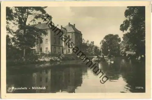 Meuselwitz - Mühlteich - Foto-Ansichtskarte - Verlag E. Riehn Wernigerode