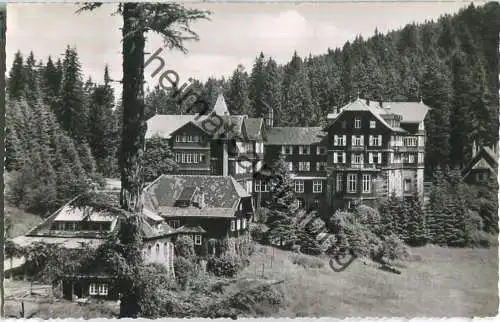 Kurhaus Hundseck an der Schwarzwaldhochstrasse - Foto-Ansichtskarte - Verlag Schöning & Co. Lübeck