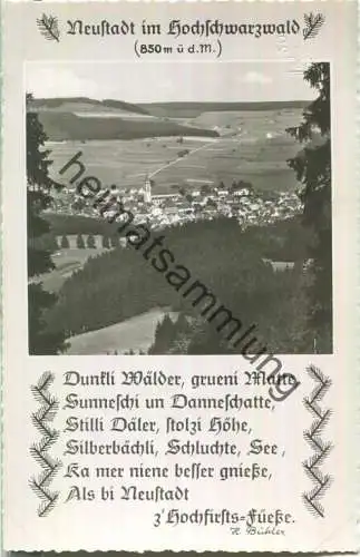 Neustadt im Hochschwarzwald mit einem Gedicht von H. Bühler - Verlag Emil Hartmann Mannheim