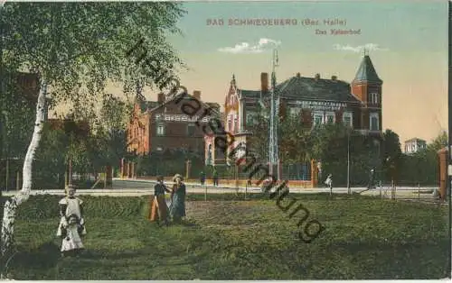 Bad Schmiedeberg - Kaiserbad - Verlag Paul F. Weber Leipzig