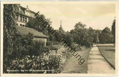 Eberswalde - Weidendammpromenade - Foto-Ansichtskarte - Verlag Hans Andres Berlin