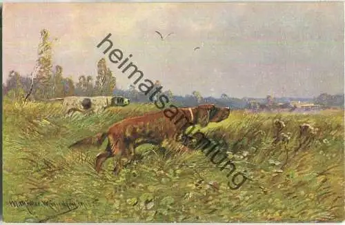 Jagd - Hunde - signiert M. Müller München - Verlag Rehn & Linzen Cassel No. 2112 ca. 1910