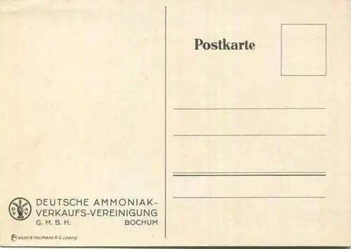 Gemüsehandlung - Werbekarte - Deutsche Ammoniak-Verkaufs-Vereinigung Bochum