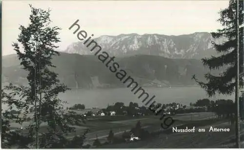 Nussdorf am Attersee - Foto-Ansichtskarte - Verlag Bährendt-Zwerger Bad Ischl