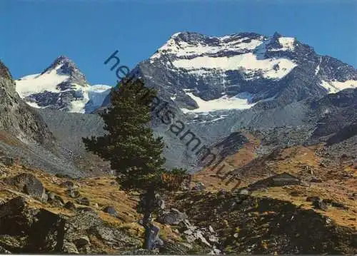 Saas-Tal - Weissmieshütte - Fletschhorn - Lagginhorn - AK Grossformat - Verlag Klopfenstein Adelboden