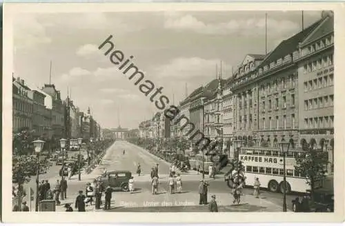 Berlin - Unter den Linden - Bus - Foto-Ansichtskarte