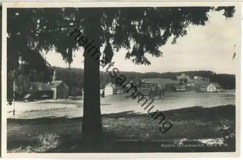 Kniebis - Foto-Ansichtskarte - Verlag H. Sting Tübingen 30er Jahre