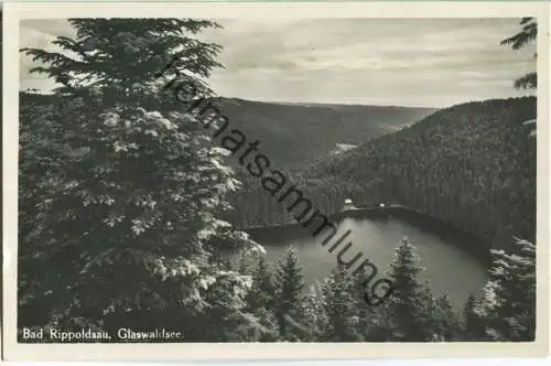 Glaswaldsee - Foto-Postkarte - Verlag H. Waidele Bad Rippoldsau