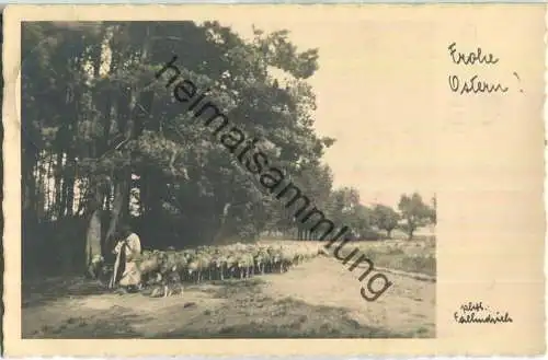 Schäfer mit Schafherde - Foto-Ansichtskarte