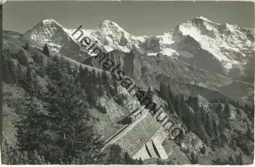 Bergbahn - Interlaken - Schynige Platte - Foto-Ansichtskarte - Verlag Gyger & Klopfenstein Adelboden