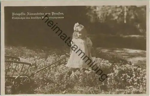 Prinzessin Alexandrine von Preussen - Phot. W. Niederastroth Potsdam - Verlag NPG