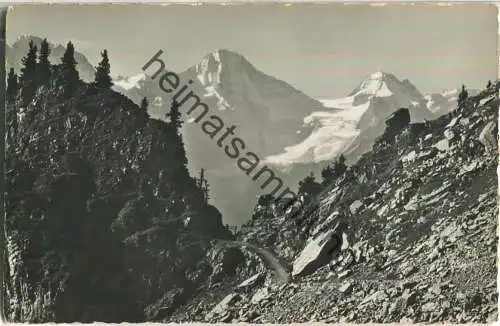 Schynige Platte - Am Weg nach dem Faulhorn - Foto-Ansichtskarte - Verlag E. Gyger Adelboden