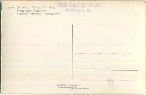 Schynige Platte - Am Weg nach dem Faulhorn - Foto-Ansichtskarte - Verlag E. Gyger Adelboden