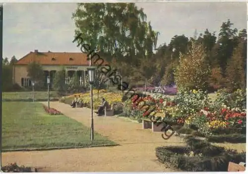 Bad Klosterlausnitz - Kurpark - Verlag R. Kallmer Zwickau