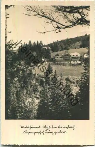 Waldheimat - Alpl bei Krieglach - Alpengasthof Bruggraber - Foto-Ansichtskarte - Verlag Franz Knollmüller Graz 1940
