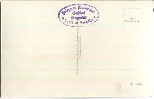 Peter Rosegger - Geburtshaus in Alpl - Waldheimat - Foto-Ansichtskarte - Verlag P. Ledermann Wien