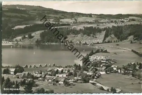 Bühl am Alpsee mit Zaumberg - Foto-Ansichtskarte - Verlag Hipp Immenstadt
