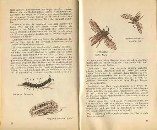 Deutschland - Ränzlein 1965 - Deutsches Jugendherbergswerk - Text und Zeichnungen Ilse Mau - 50 Seiten Wissenswertes