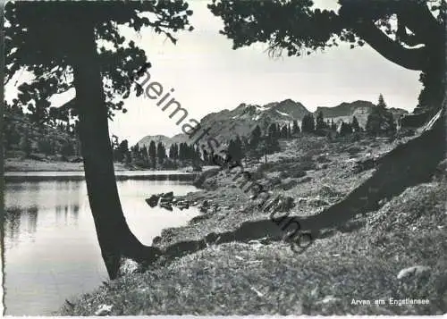 Arven am Engstlensee - Foto-Ansichtskarte - Verlag Globetrotter GmbH Luzern