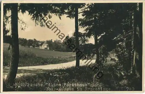 Altes Forsthaus - Ober-Nassau - Foto-Ansichtskarte - Verlag Foto-Gössel Frauenstein