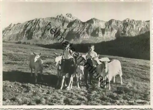 Blick zum Säntis - Geissen Ziegen - Foto-AK Grossformat - Foto-Gross Verlag St. Gallen